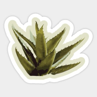Agave Plant Sticker